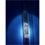Fluorescent light on soil core showing solvent path