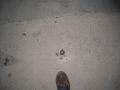 Sub-slab vapor point