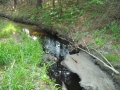 Diesel fuel impact to stream
