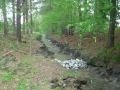 Stream after remediation