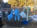 Soil sample collection at industrial facility